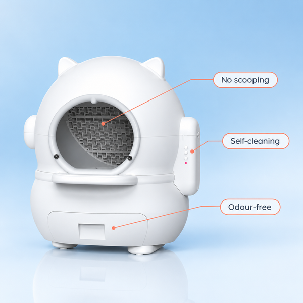 The self - cleaning litter box